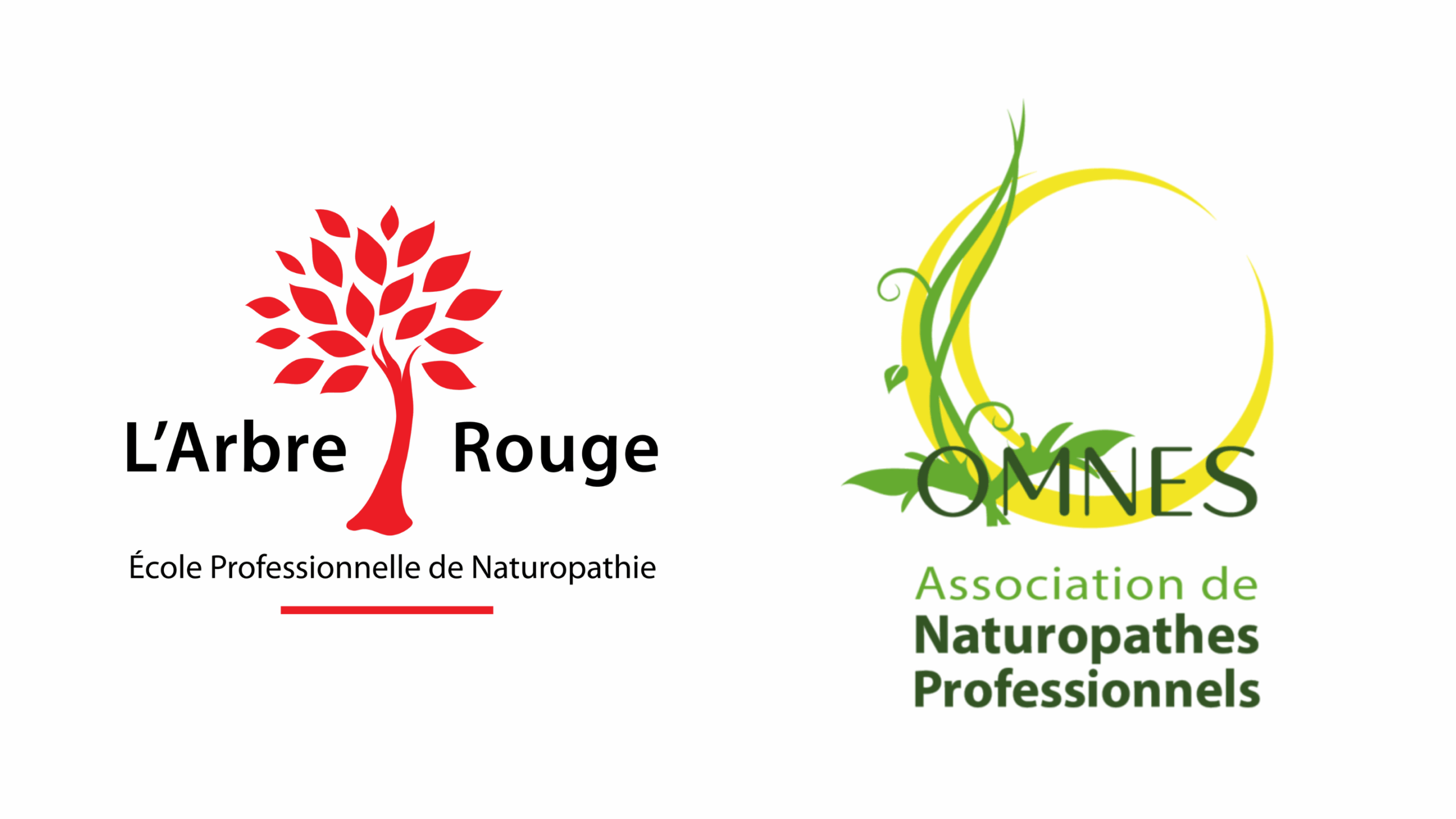 Partenaires / réseau professionnel - Naturopathe │Carole MARION