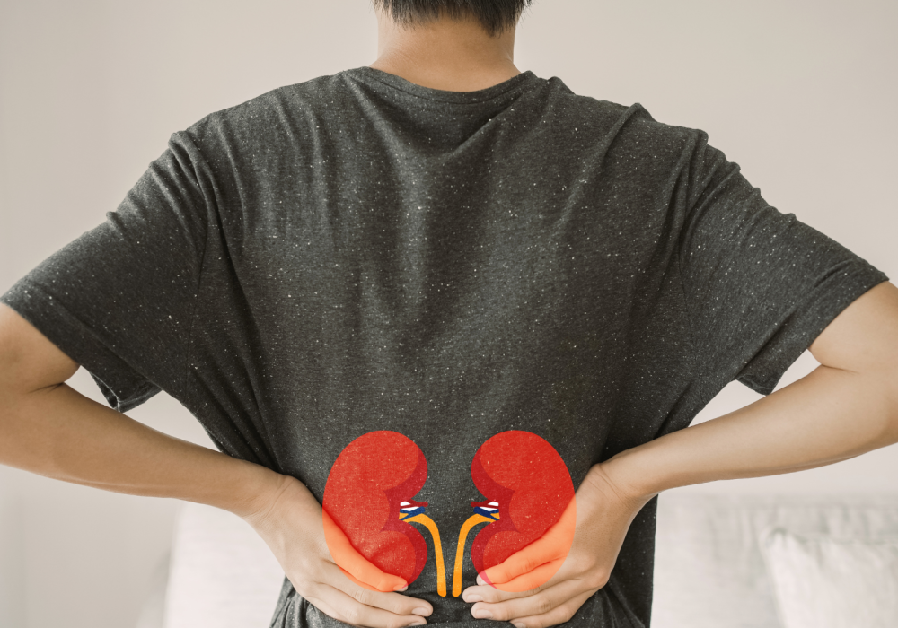 Une insuffisance rénale